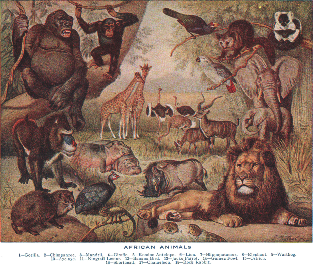 Ein Plakat mit einem Löwen, einer Giraffe, einem Flusspferd und anderen Tieren, mit Vögeln auf den Ästen im Hintergrund und Text unten.