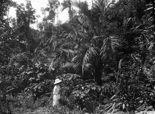 Zwei Menschen stehen in einem Dschungel umgeben von hohen Palmen, mit dem Himmel im Hintergrund, dargestellt in Schwarz-Weiß.