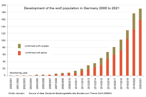 Eine Liniengrafik, die das Wachstum der Wolfsbevölkerung in Deutschland von 2000 bis 2021 zeigt, mit begleitendem Text, der zusätzliche Datendetails bereitstellt.