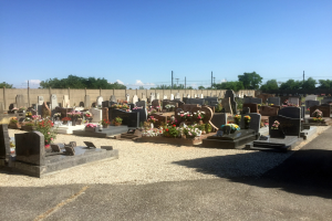 Ein Friedhof mit Gräbern, geschmückt mit Blumen und Kerzen, umgeben von Gras, trockenen Blättern, Pflanzen, Bäumen und einem Zaun, mit Fahrzeugen, Gebäuden und dem Himmel im Hintergrund.