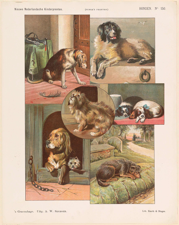 Eine Buchseite mit verschiedenen Hundewelpen und begleitendem Text, der ihre Eigenschaften beschreibt.