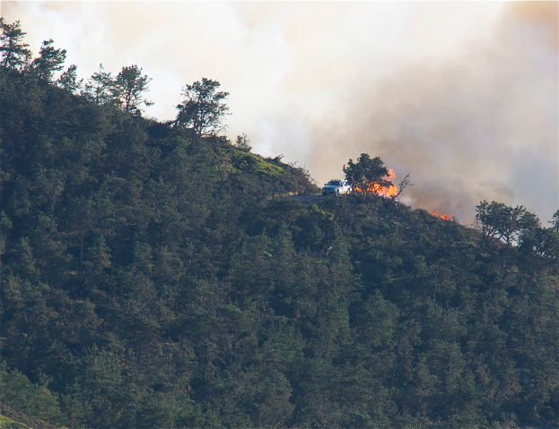 Ein Hügel mit zahlreichen Bäumen, einem Fahrzeug und einem Feuer, das Rauch abgibt.