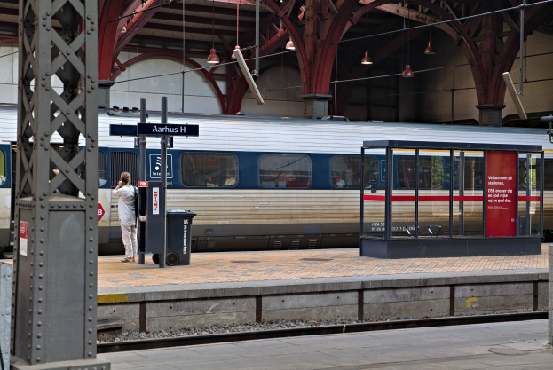 Ein Zug fährt auf einem Bahnsteig ein, mit einer Person in der Nähe, einem Müllcontainer, Pfosten, Informationsanzeigen und Deckenleuchten.