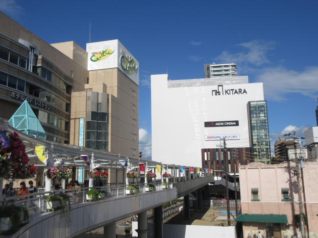 Eine belebte Stadtstraße mit hohen Gebäuden, eine Brücke mit Geländern und Fußgängern, Topfpflanzen mit Blumen, Strommasten mit Drähten und einen bewölkten Himmel im Hintergrund.