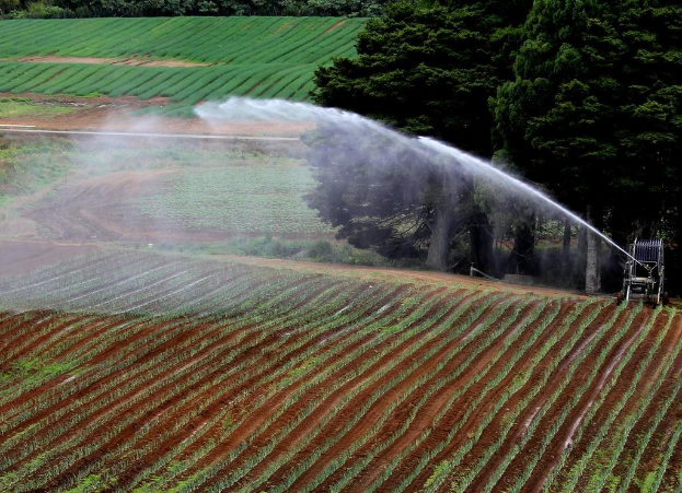 Landwirtschaftliches Feld mit verschiedenen Kulturen, eine Beregnungsmaschine im Vordergrund und eine Reihe von Bäumen mit weiteren Kulturen im Hintergrund.