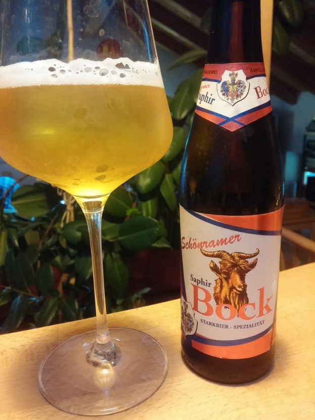 Eine Weinflasche und ein Glas Wein auf einer hölzernen Oberfläche mit einer Pflanze im Hintergrund.