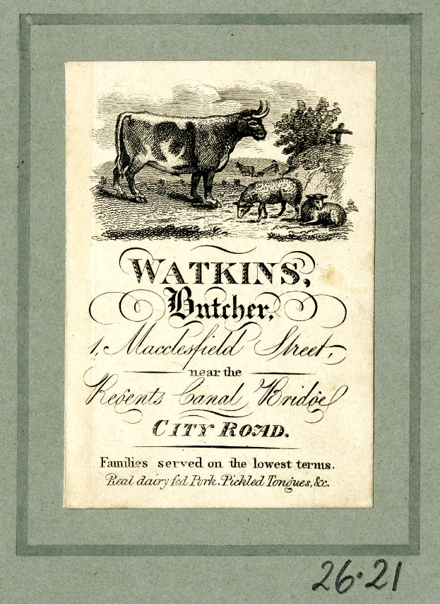 Ein altes Buchcover mit einer Rind, die in einer grünen Wiese mit Bäumen im Hintergrund steht, begleitet von zwei Schafen, die neugierig zu ihr aufschauen, mit der Aufschrift "Watkins, Metzger, Macclesfield Street".