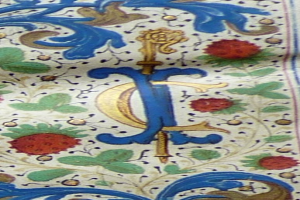 Ein Nahaufnahme eines Buchumschlags mit einer leuchtenden Malerei mit detaillierten Designs von Blumen, Blättern und anderen Gegenständen.