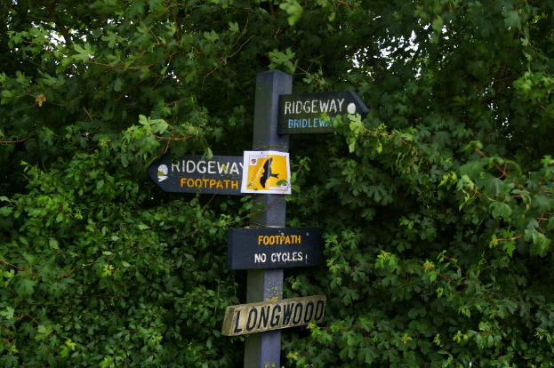 Ein Pfosten mit vier Richtungsschildern daran befestigt, umgeben von Grün im Hintergrund.