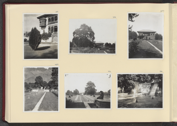 Ein aufgeschlagenes Buch mit einer Collage aus Schwarz-Weiß-Fotografien, die Bäume in der Mitte zeigen, umgeben von Bildern von Gebäuden und einem Brunnen.